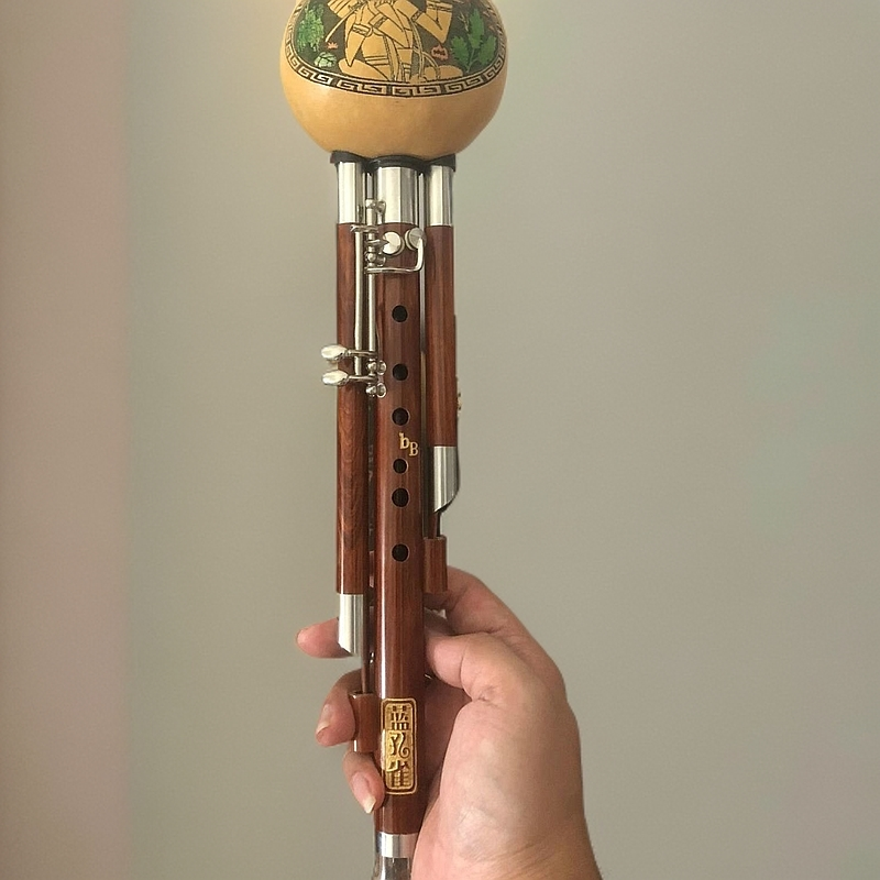 云南红檀木葫芦丝专业演奏成人初学多调乐器七孔加键降B C D F G 