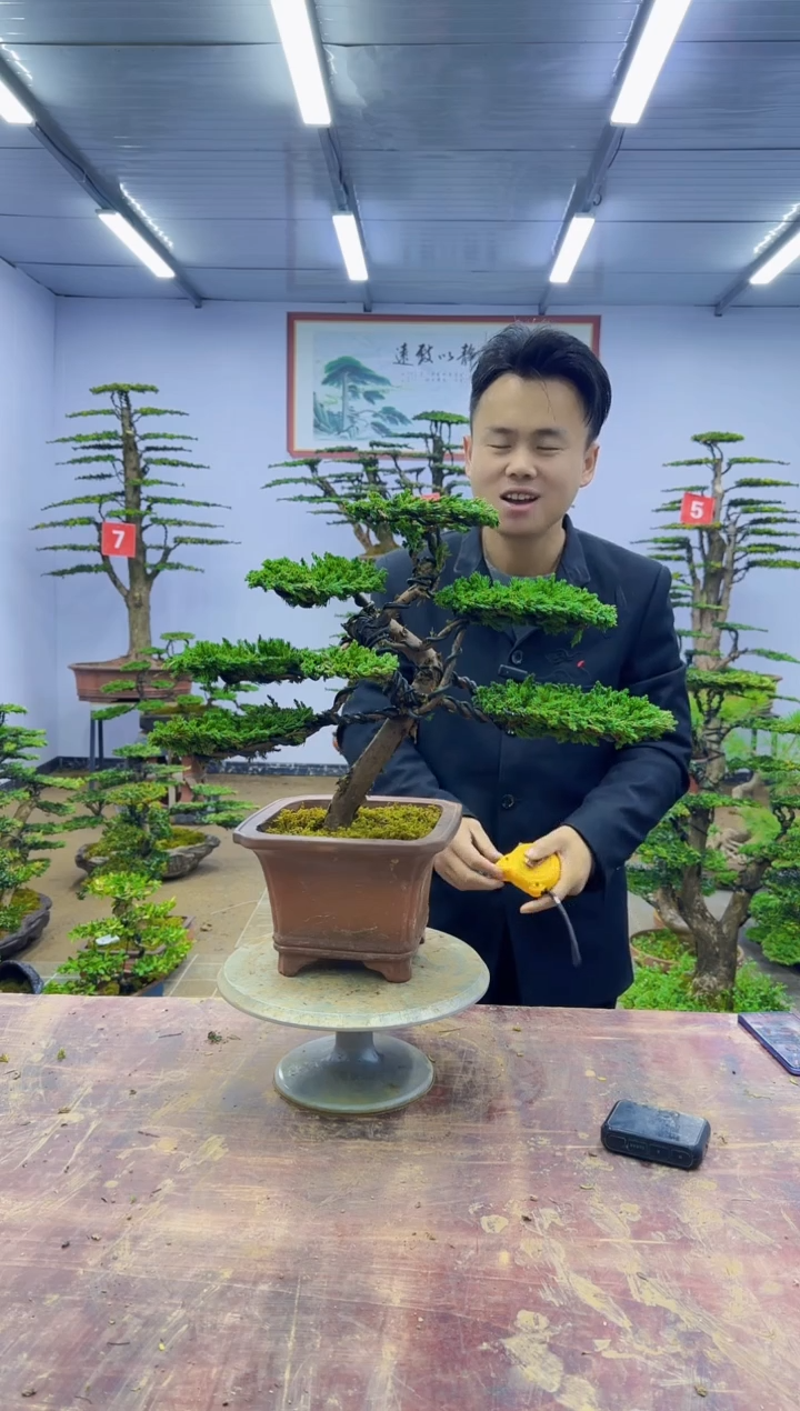 【闪购商品】一物一拍，所见即所得