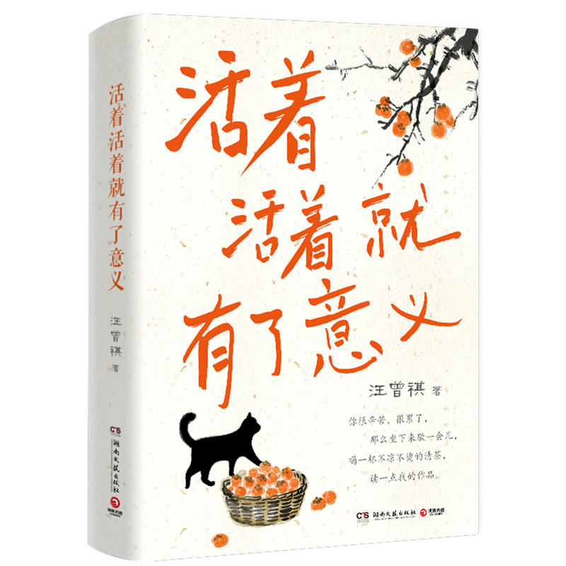 活着活着就有了意义 新华书店正版
