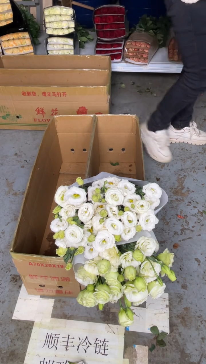 洋桔梗800克3扎（白色+绿）