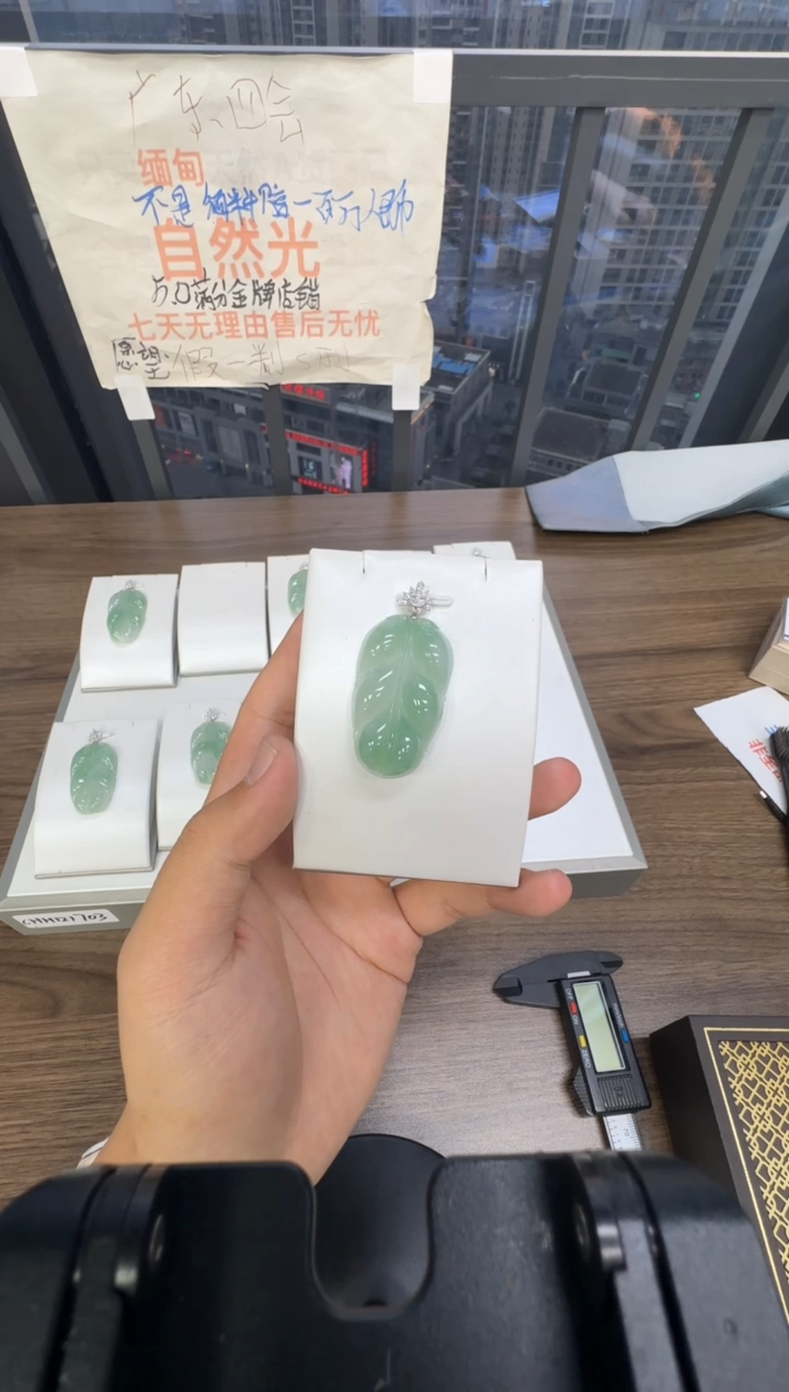 颈饰18K金镶嵌翡翠一*光天然A货翡翠冰胶果绿底叶子 多样性发一件