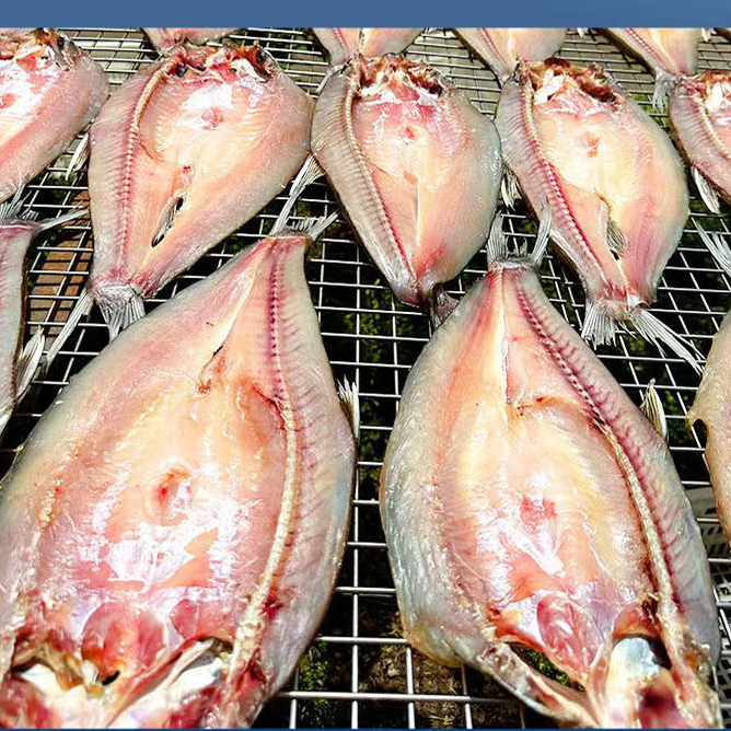 正宗湖北风干大白刁翘嘴鲌鱼农家风味不咸不淡半干半湿