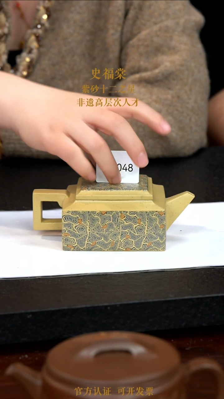 【闪购商品】紫砂茶壶WA048-0113TFS