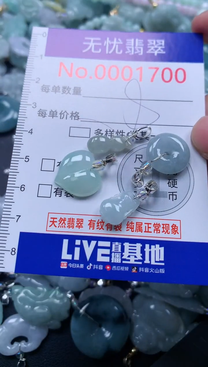 颈饰未镶嵌翡翠1700