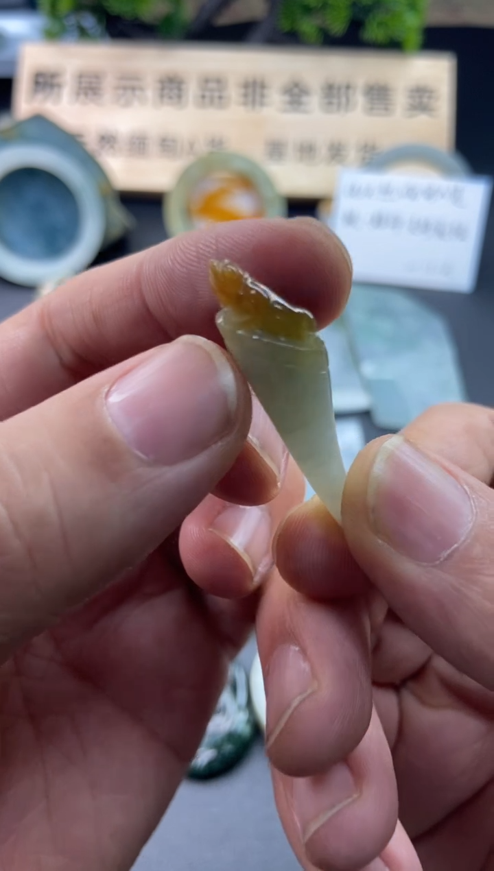 【闪购商品】翡翠颈饰未镶嵌片料10