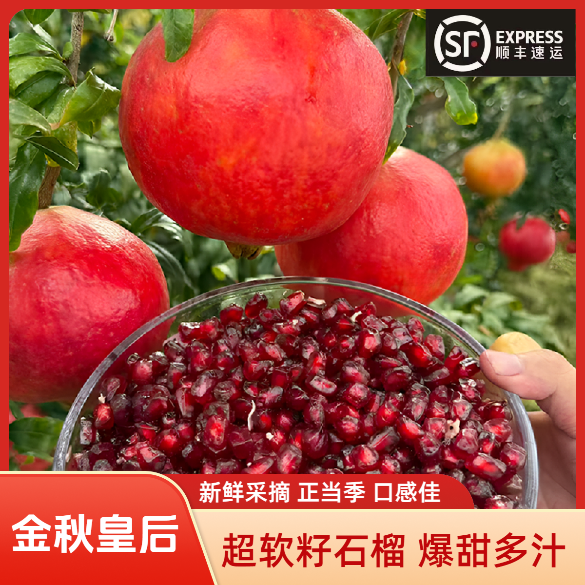 【金秋皇后超软籽黑金石榴】 爆甜多汁无需吐籽高端品种送礼 顺丰