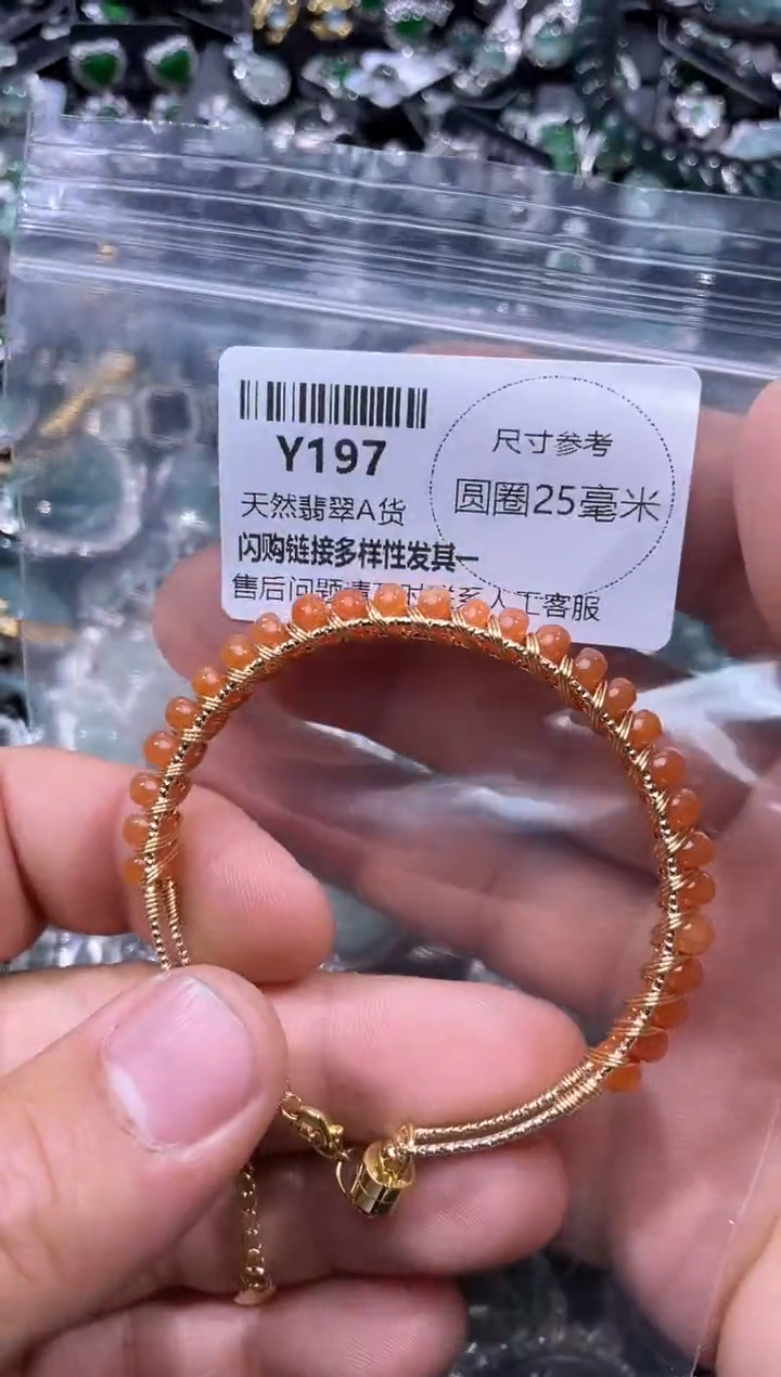 【闪购商品】翡翠颈饰未镶嵌Y197半镯