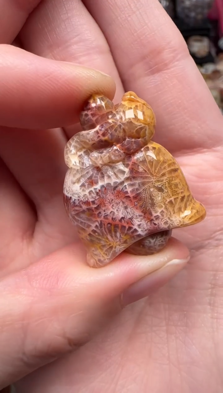 颈饰未镶嵌硅化珊瑚（珊瑚玉）866