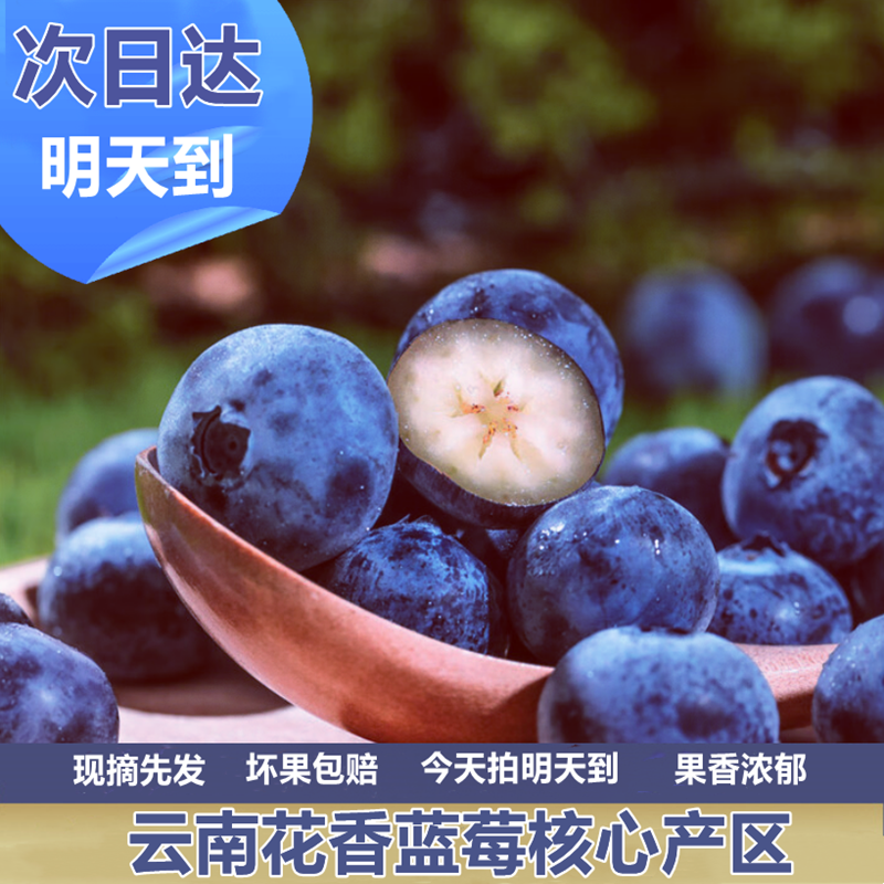 【明日达】花香蓝莓云南澄江抚仙湖蓝莓八盒18mm-28mm新鲜采摘sj1云南省