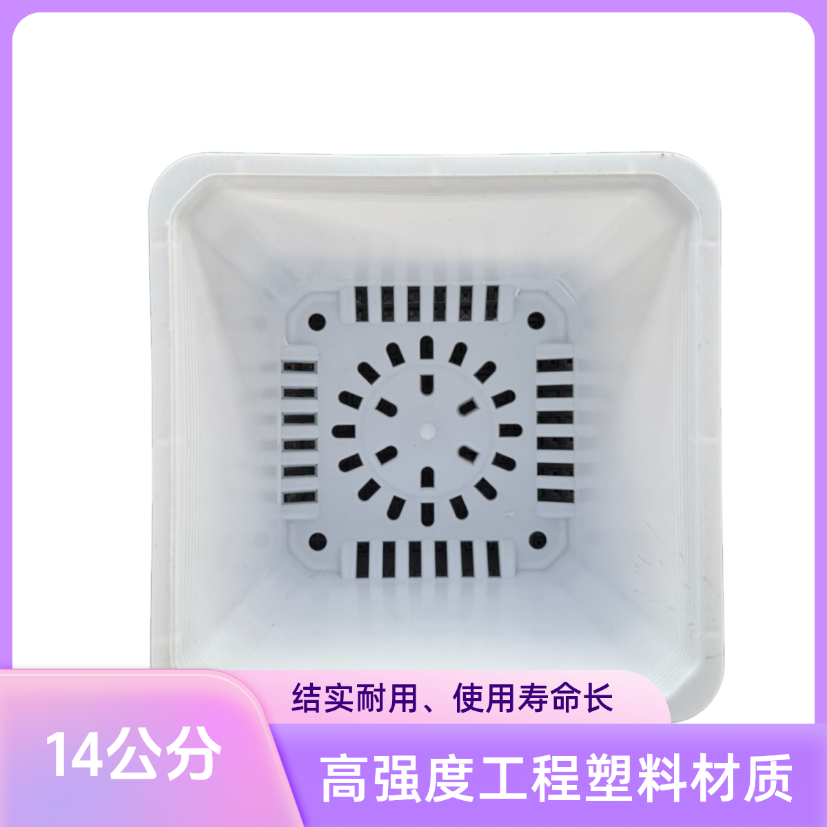 多肉 14公分白方盆【专用盆】