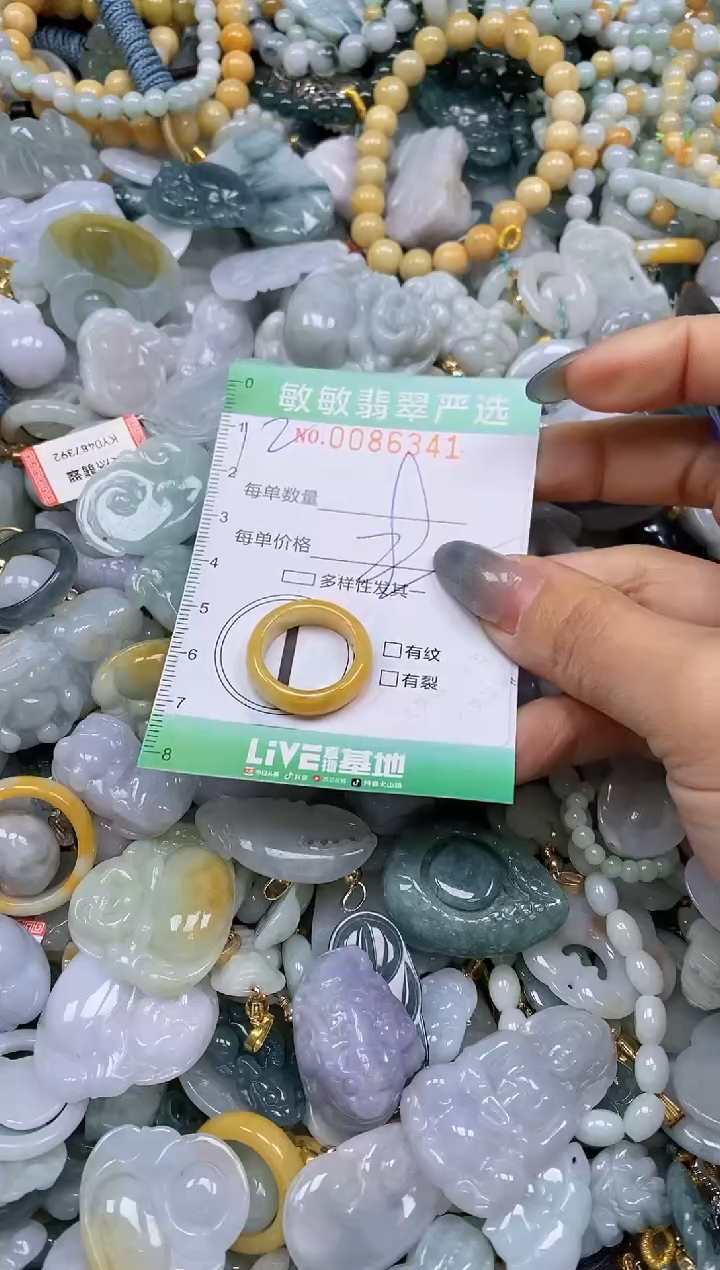 【闪购商品】翡翠颈饰未镶嵌闪购0086341