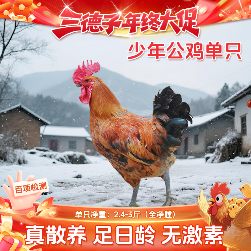 三德子【少年公鸡1只】生态散养土鸡新鲜营养美味农家跑山鸡走地鸡