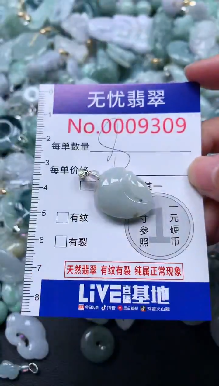 颈饰未镶嵌翡翠9309