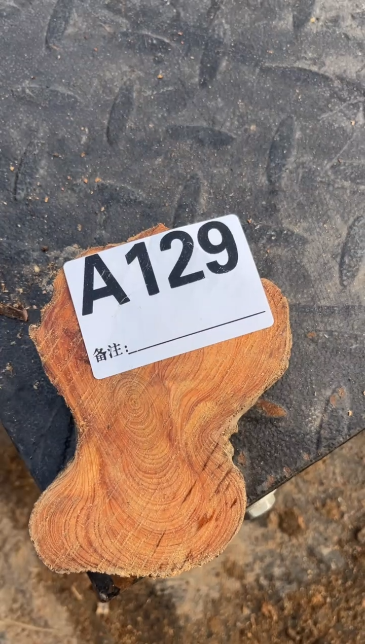 柏木（崖柏）太行崖柏香块