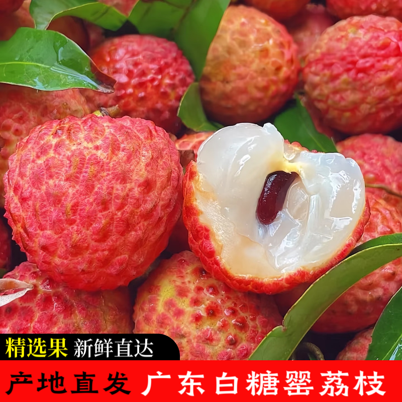 【生鲜冷链】广东白糖罂荔枝一口爆汁现摘现发到手5斤白糖罂荔枝