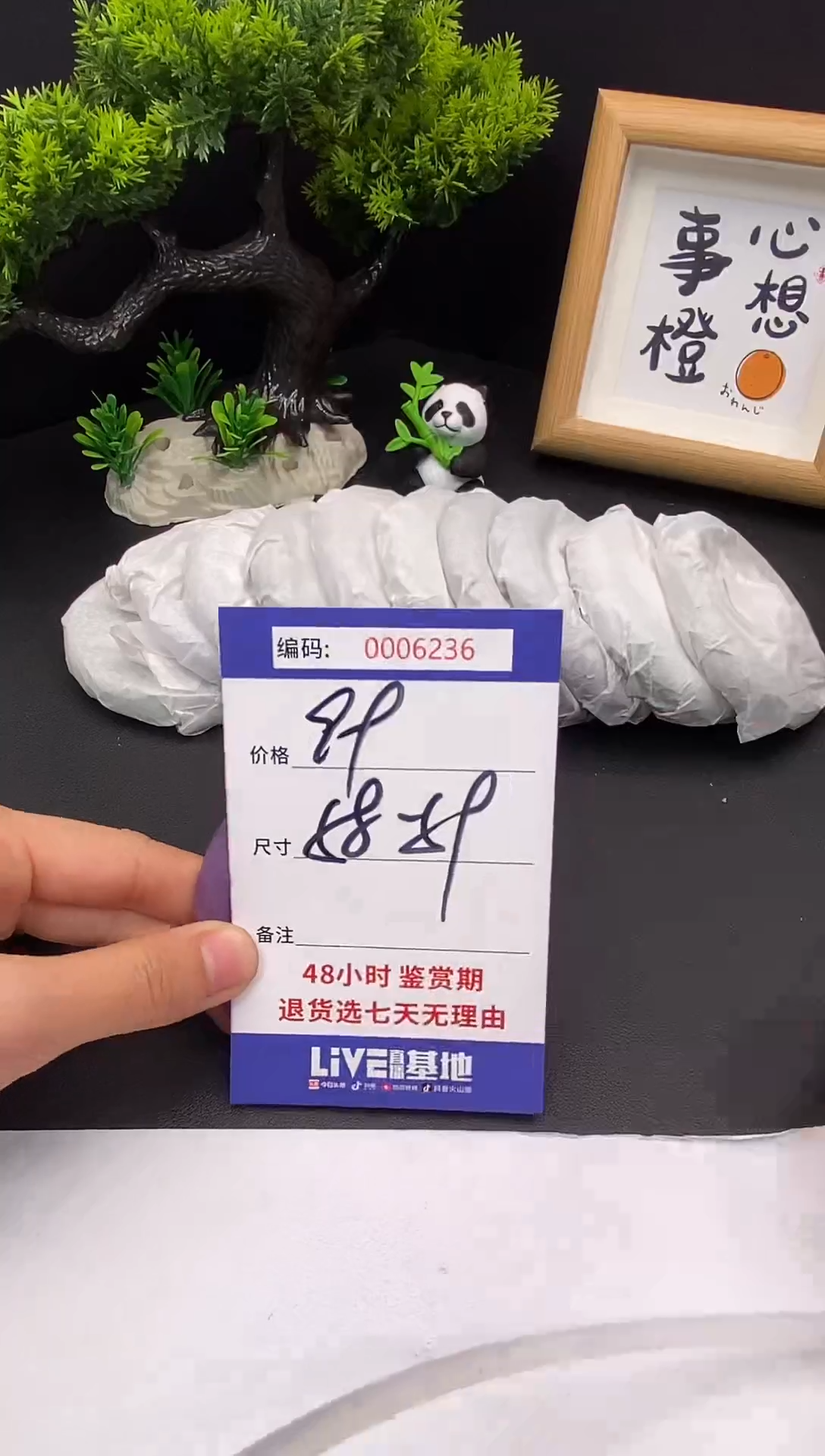 未镶嵌手镯翡翠0006236