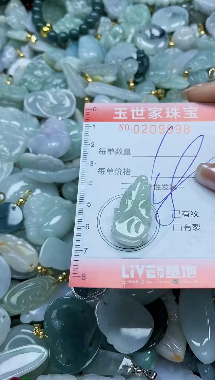【闪购商品】翡翠颈饰未镶嵌闪购0209998