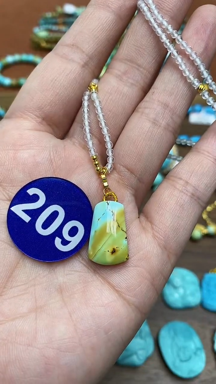 【闪购商品】绿松石项链银S925镶嵌209