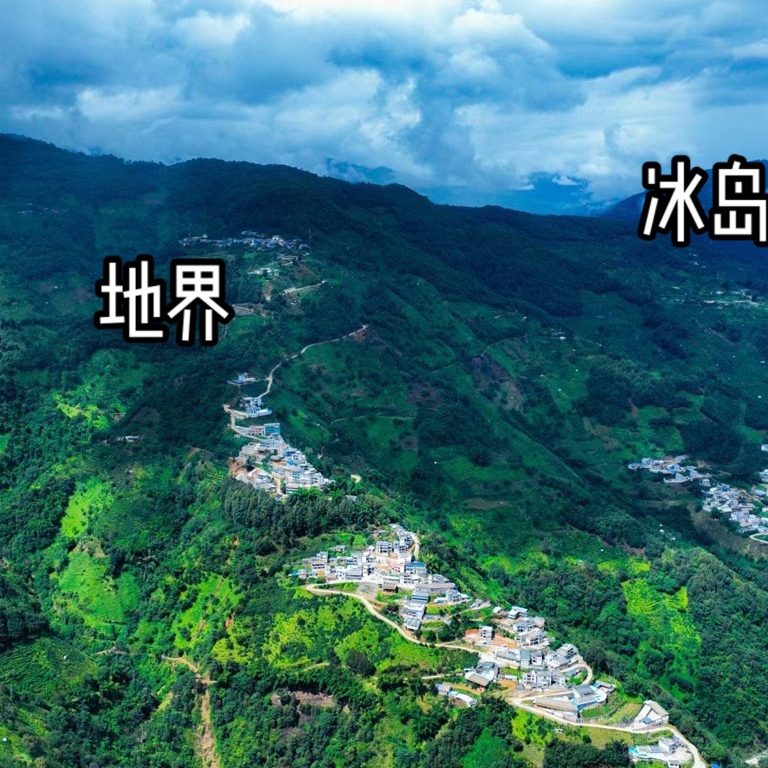 冰岛啊优的茶 普洱茶生茶 散茶紧压茶 通用链接