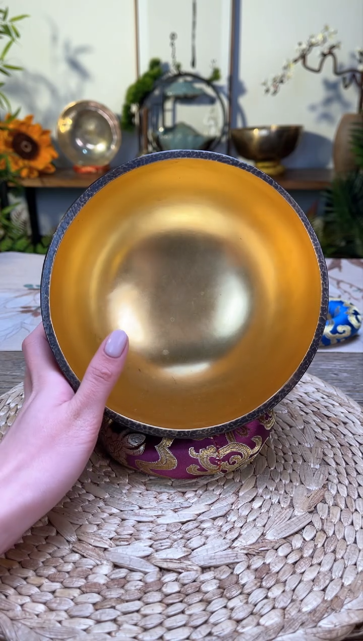 【闪购商品】紫金口径16CM-E调(无配件)