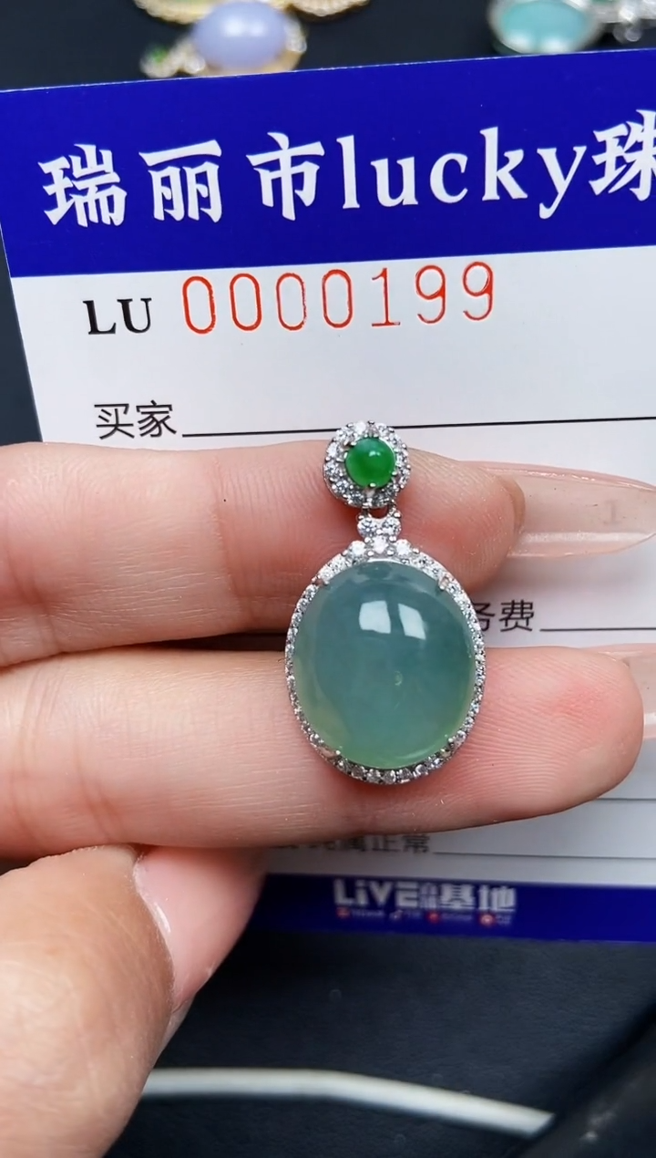 【闪购商品】翡翠颈饰银S925镶嵌0199