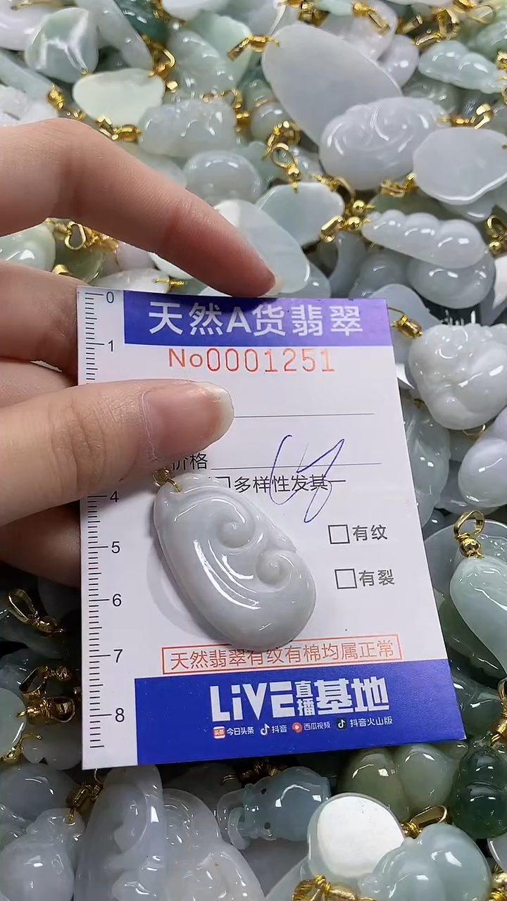 颈饰未镶嵌翡翠纯天然货翡翠