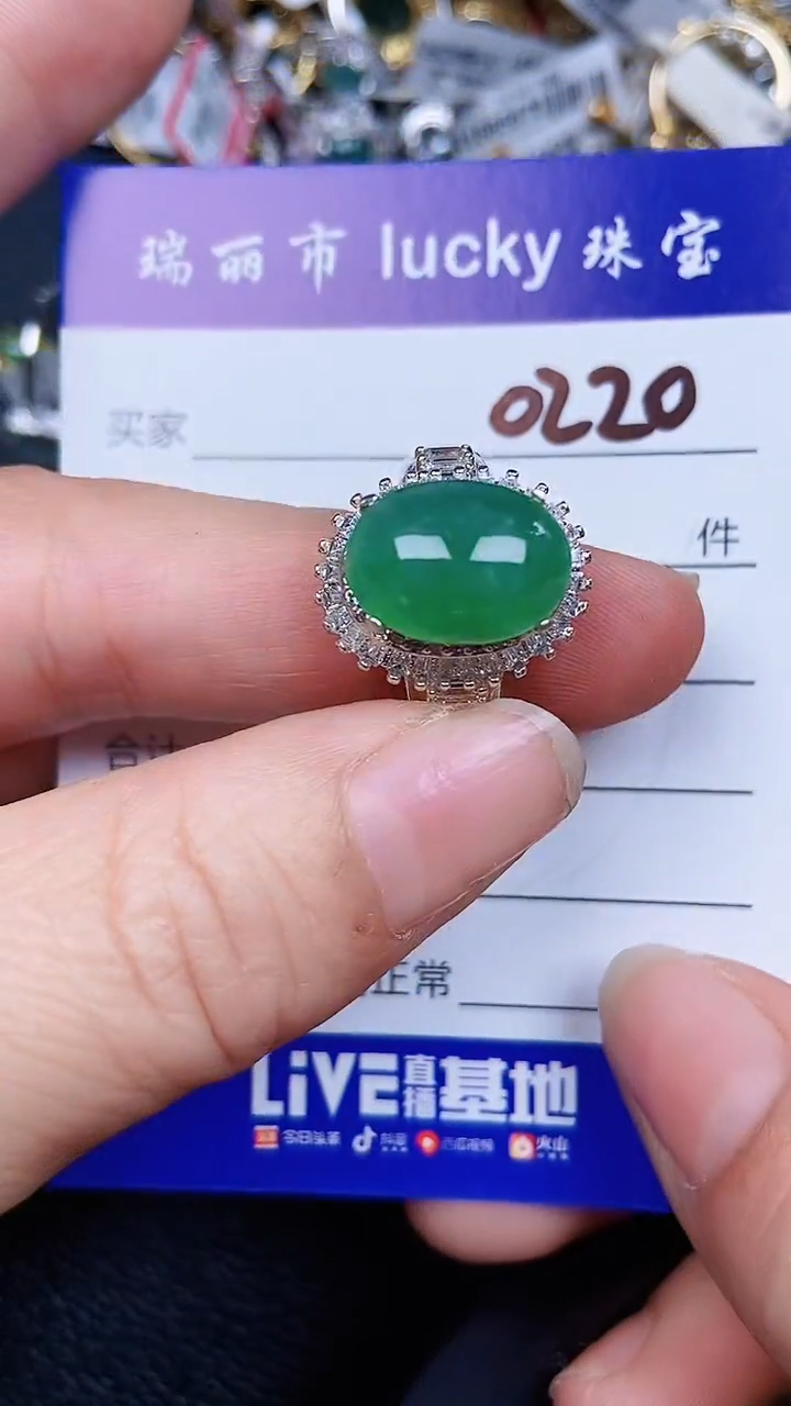 颈饰未镶嵌翡翠220