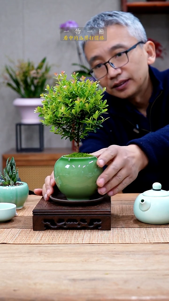 完全开放个**味赤楠447