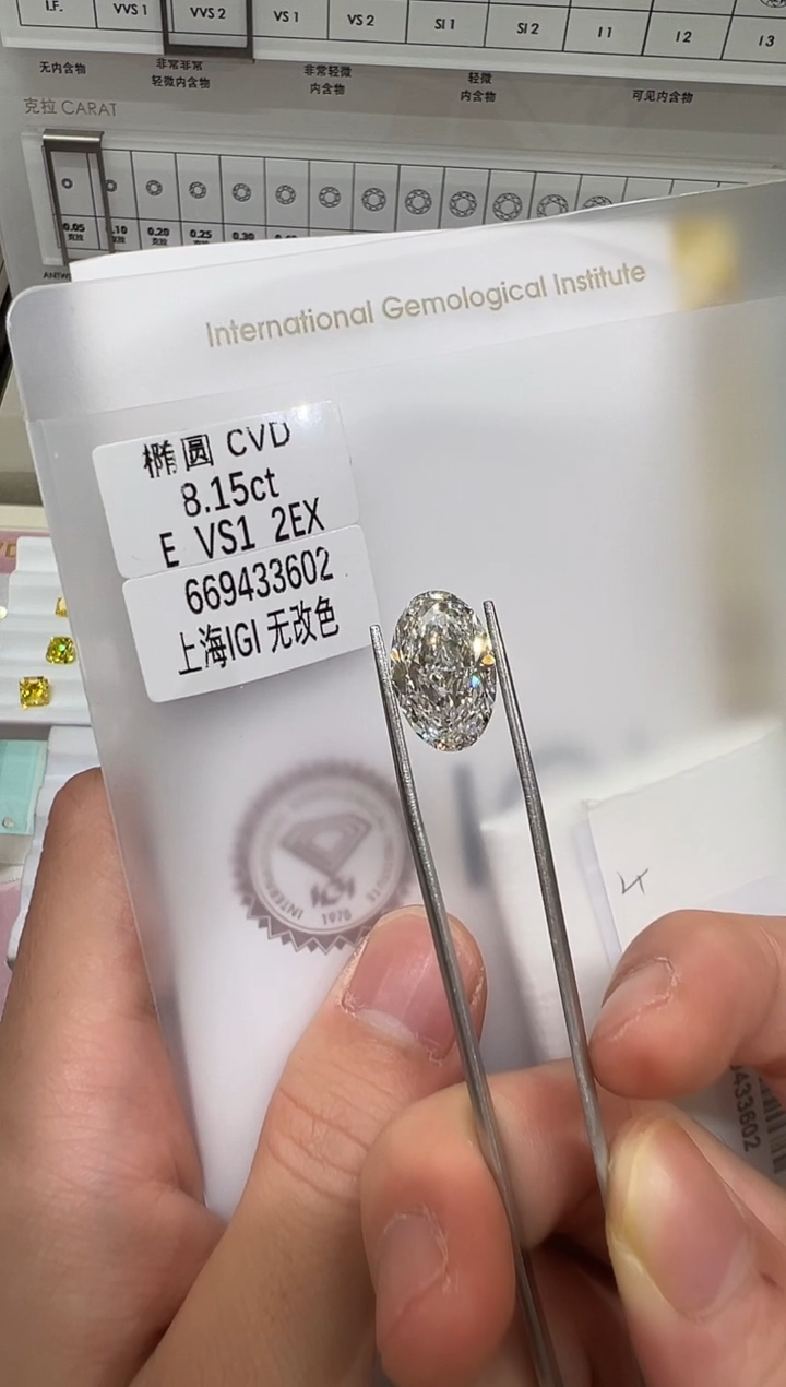 【闪购商品】实验室培育钻石未镶嵌@8.15ct 先鉴赏，再定制！