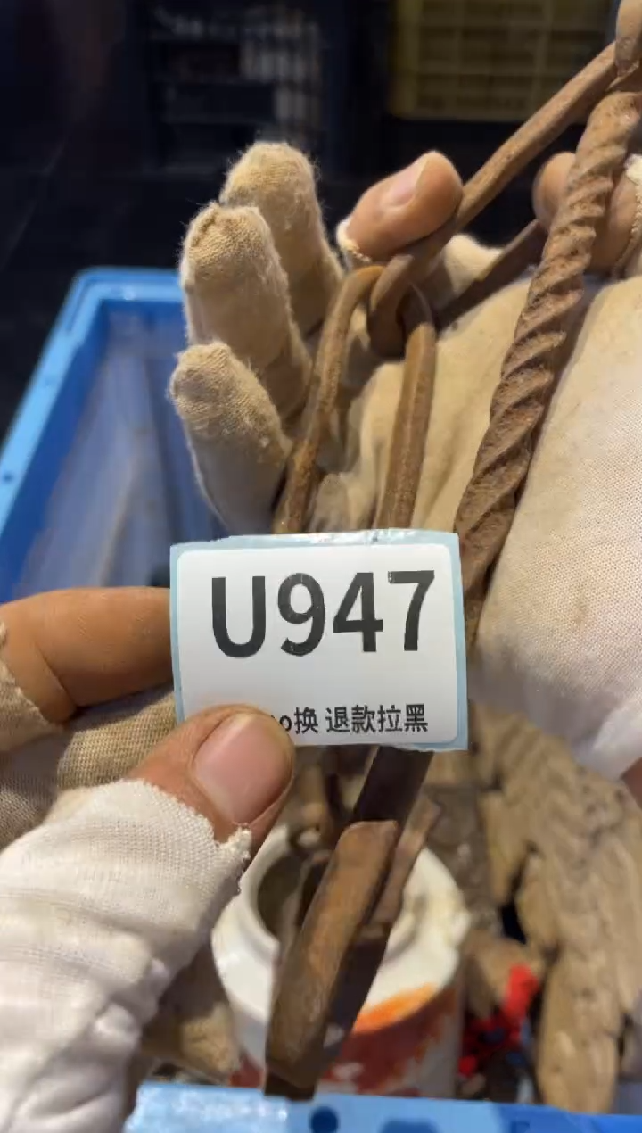 瓷片阳**照表弟直播链接火爆
