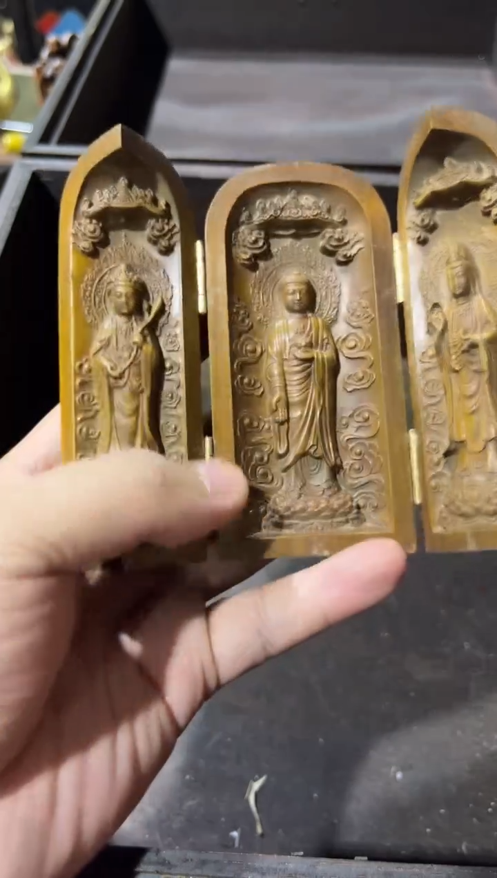 黄杨木11111111111111111111