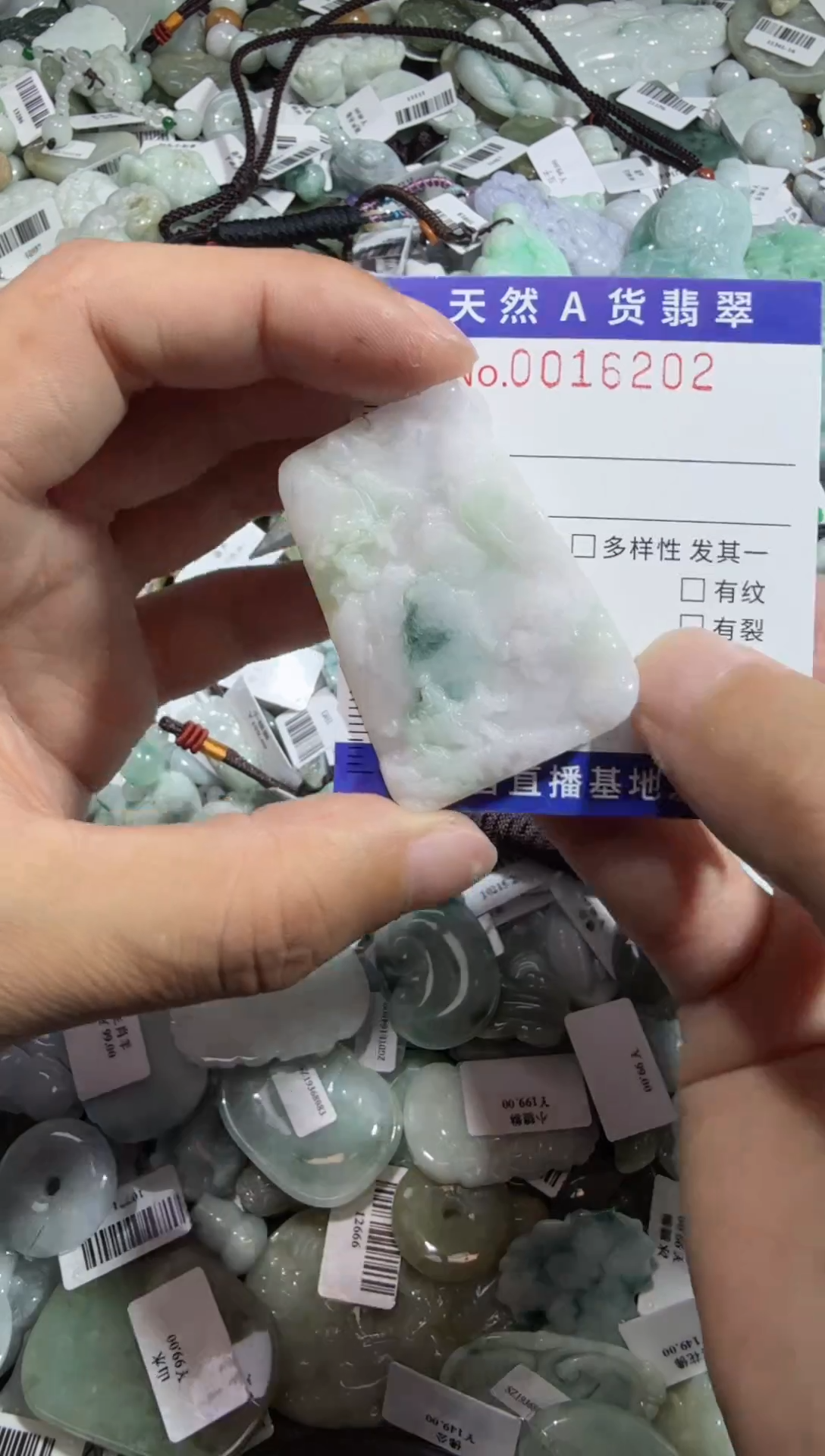 【闪购商品】翡翠颈饰未镶嵌00016202