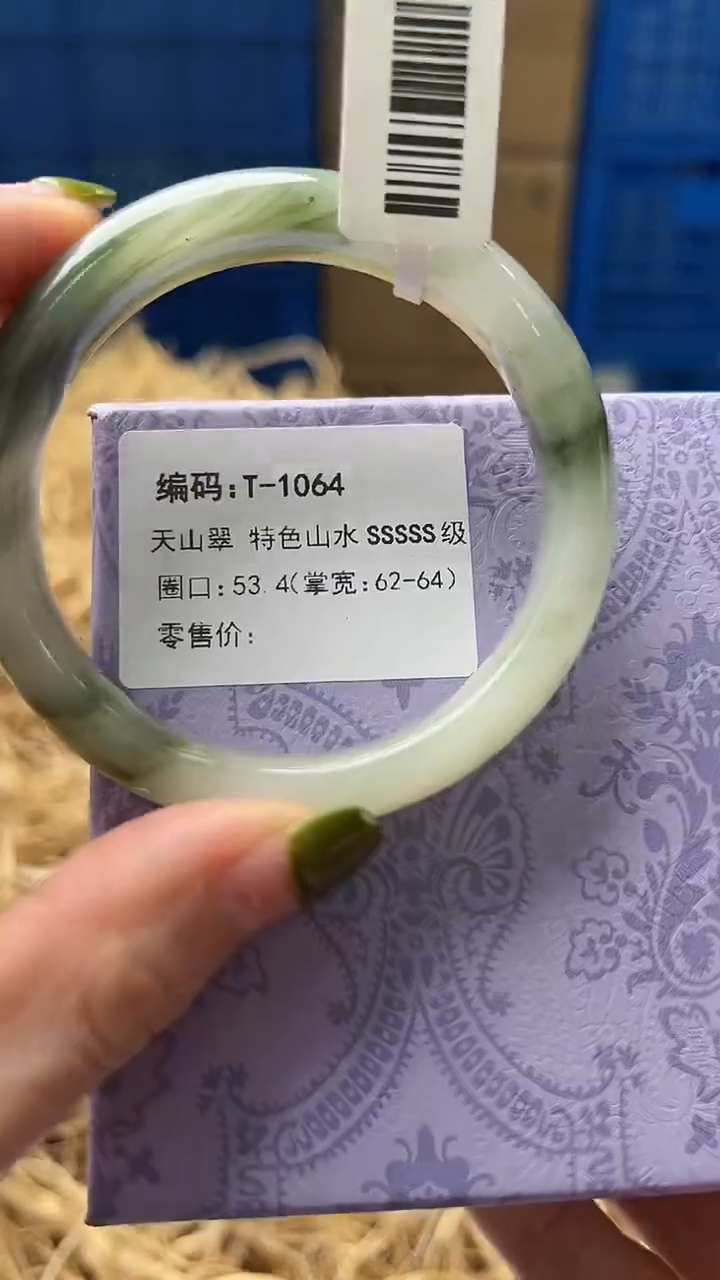 未镶嵌手镯石英质玉T1064