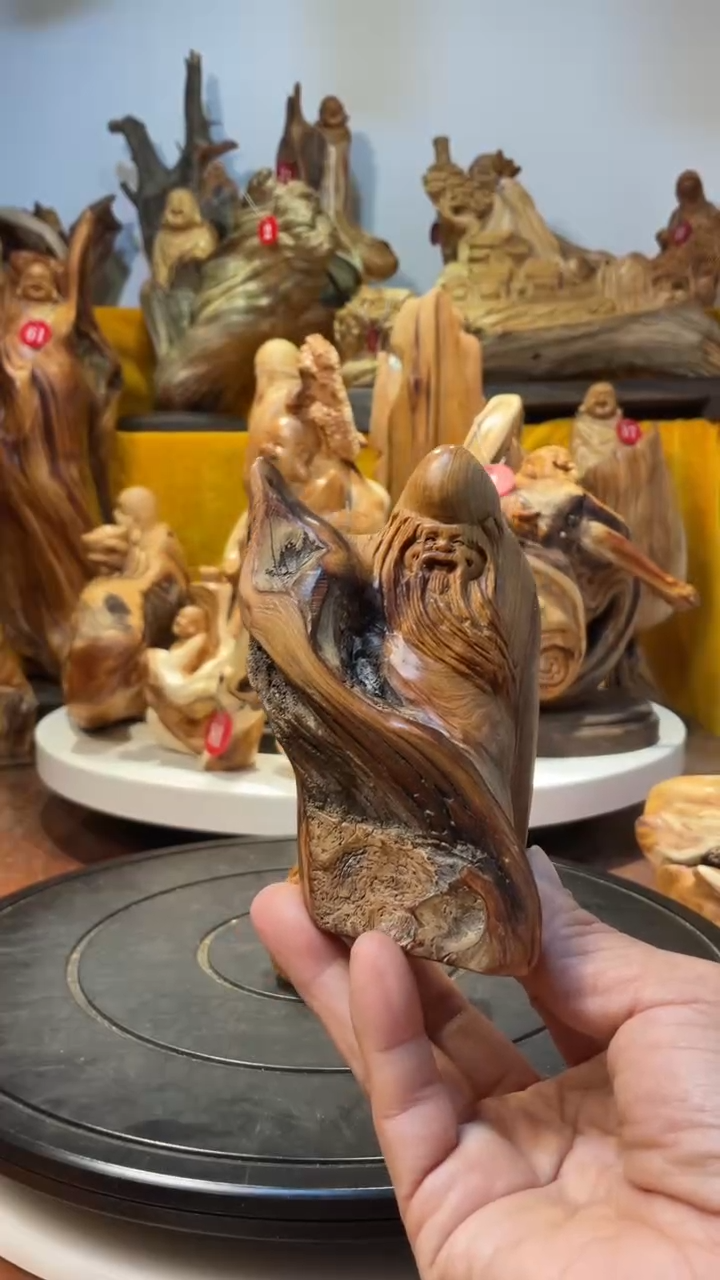 【闪购商品】柏木（崖柏）  寿星