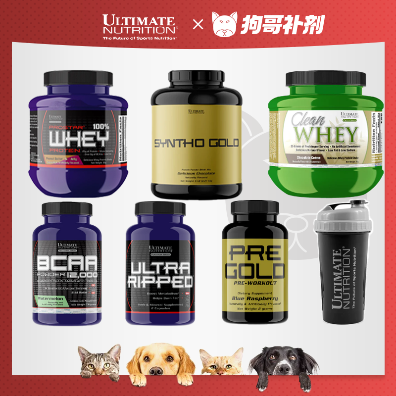 美国UN优恩乳清酪蛋白支链氮泵试用装