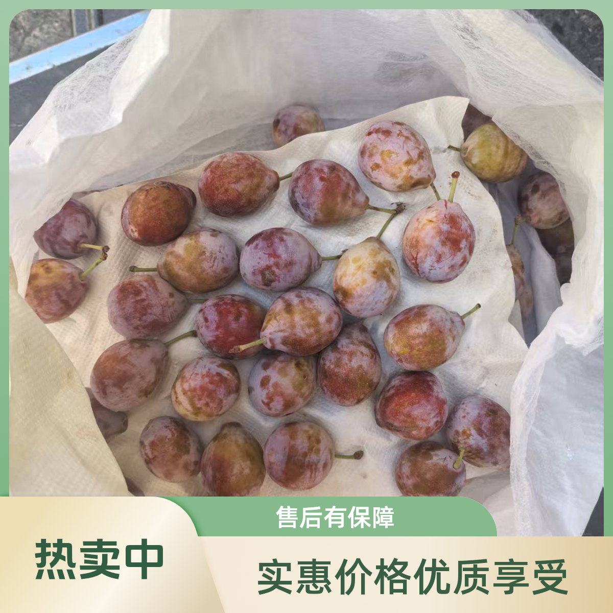 新疆-西梅（3-4斤/箱）