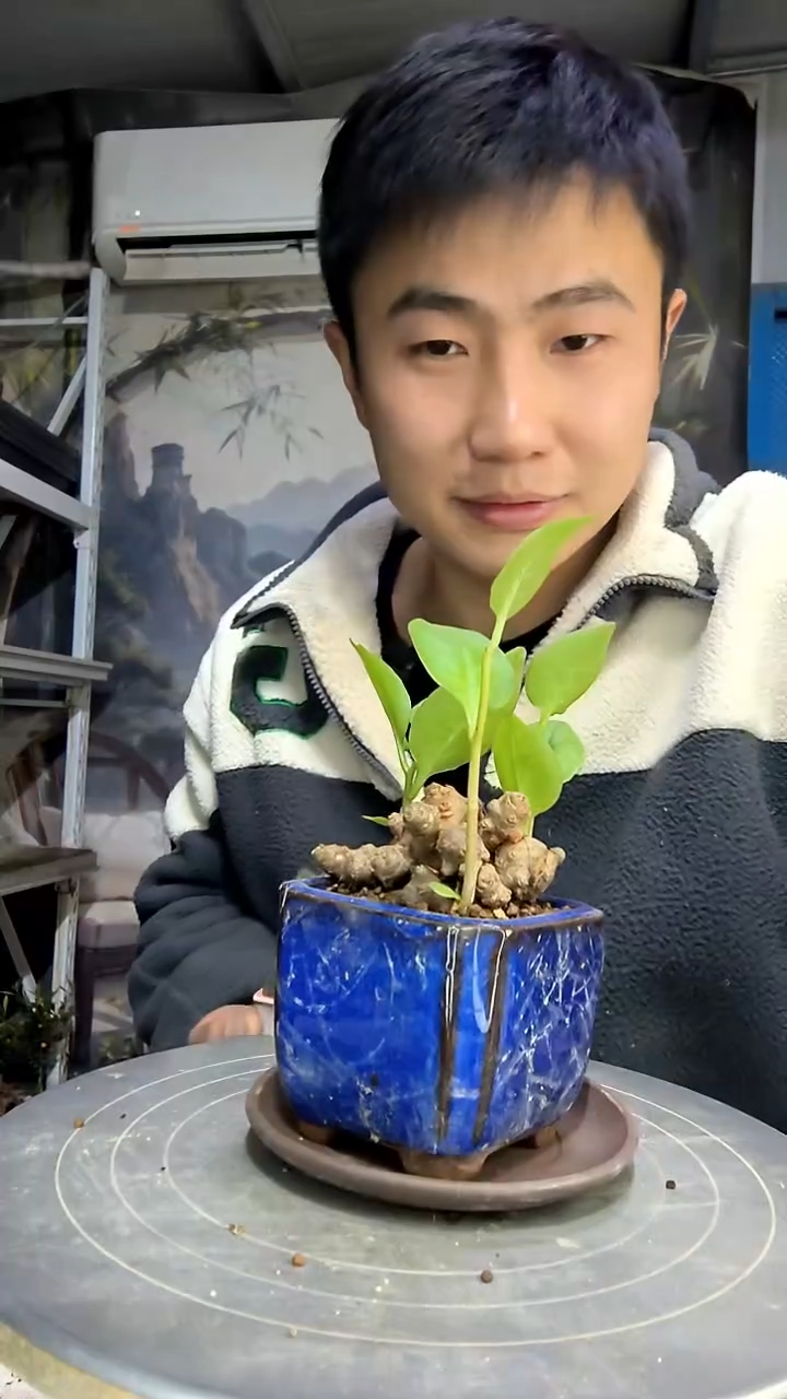 林*中青园艺一物一拍花220