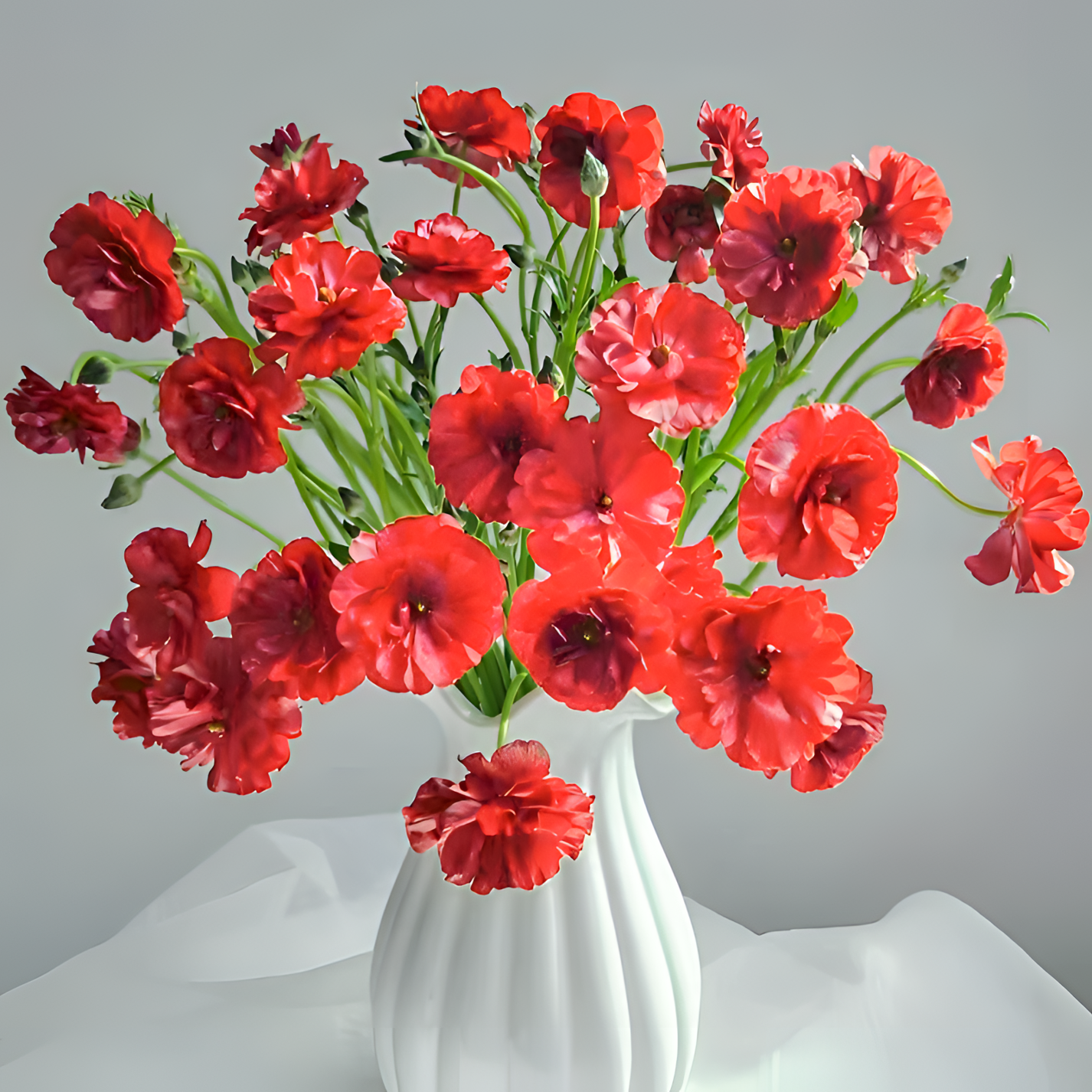 【银座鲜花】蝴蝶洋牡丹 红配花原装整扎5支每扎2单包邮鲜切花家居花生活鲜花