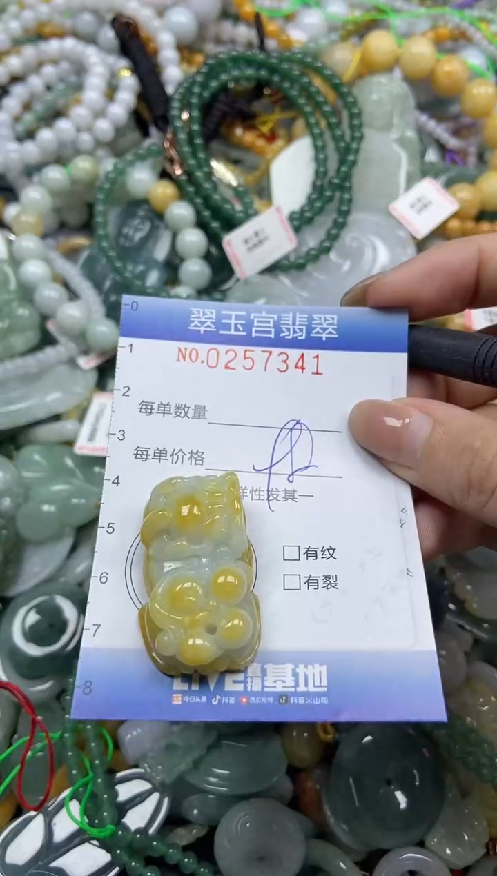 颈饰未镶嵌翡翠闪购C0257341