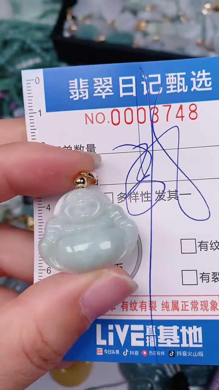【闪购商品】翡翠颈饰未镶嵌00003748