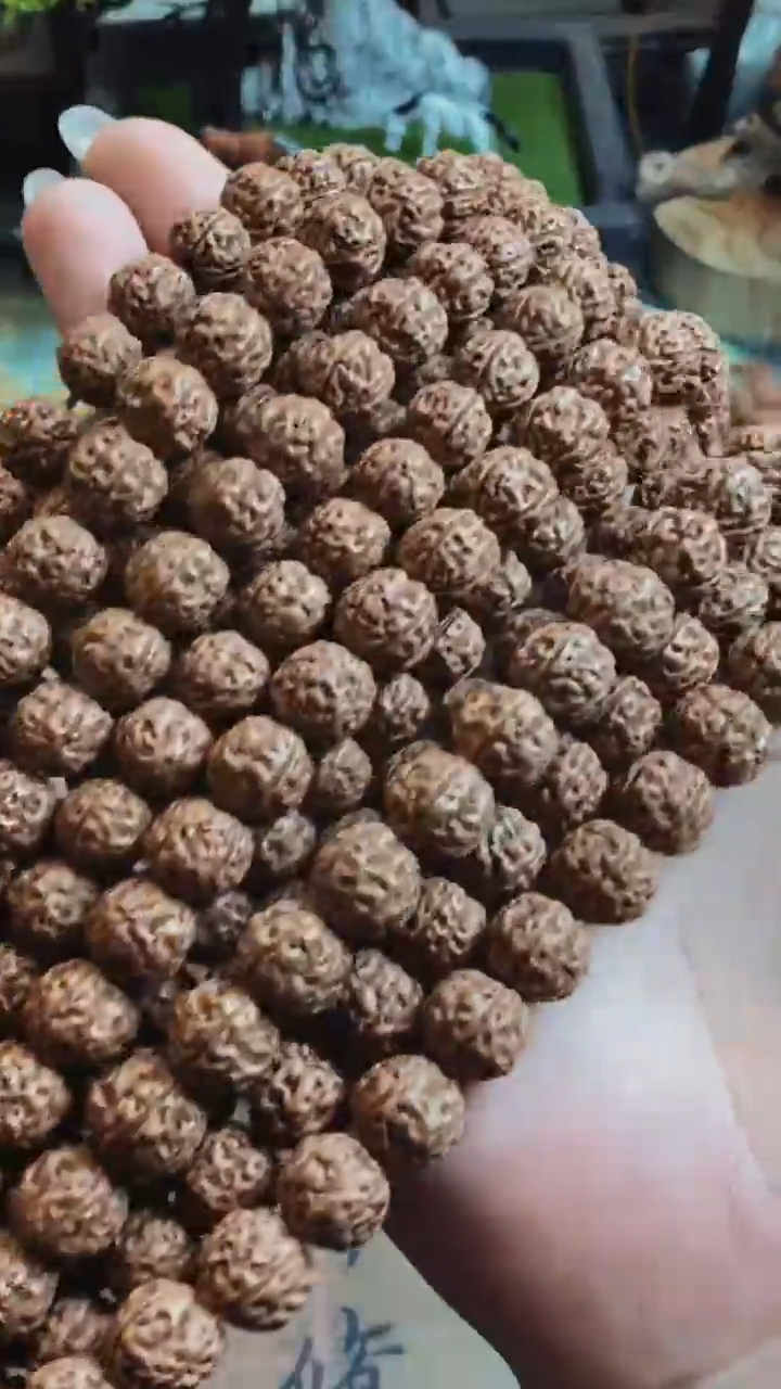 【闪购商品】534帝王龙尺寸10+钢丝刷