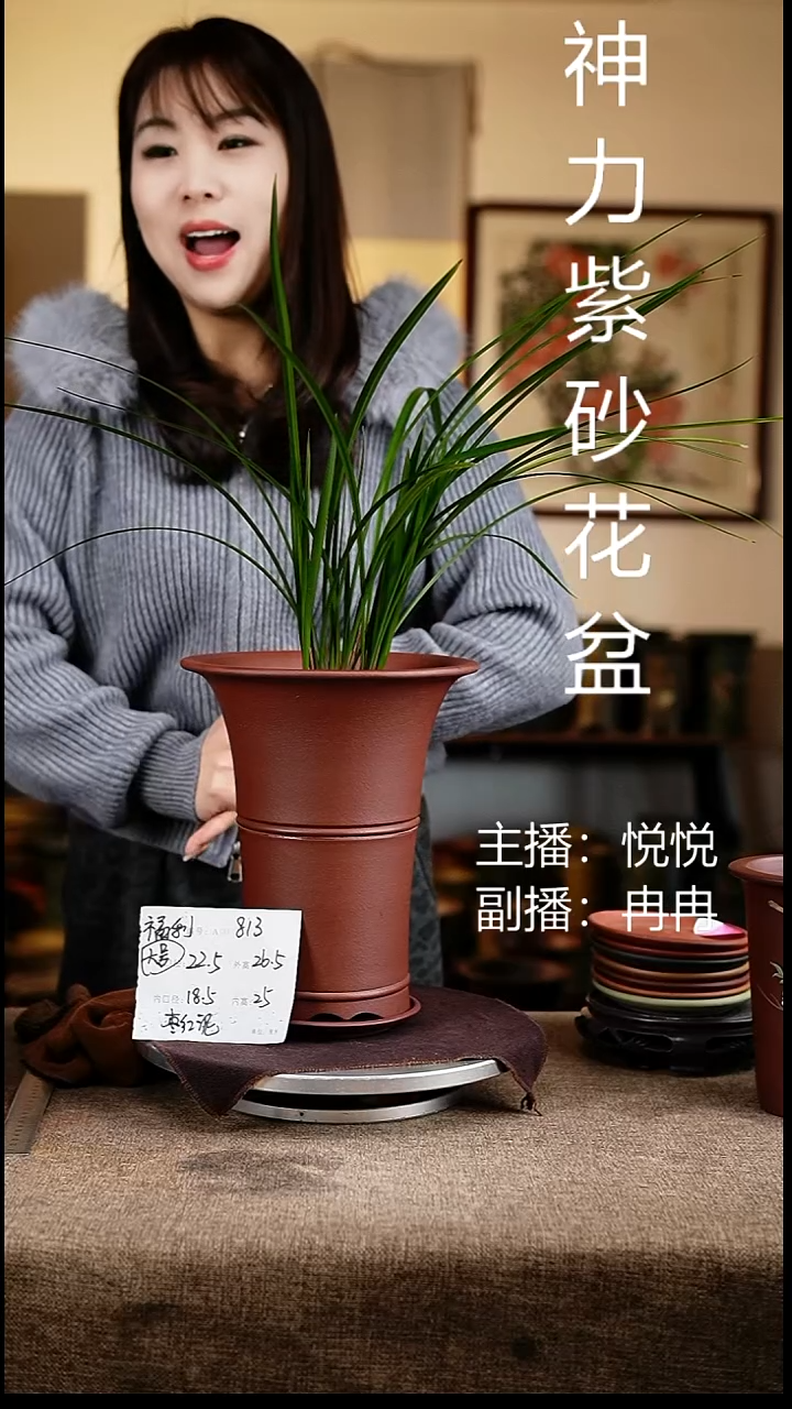 紫砂花盆花卉工艺813+z