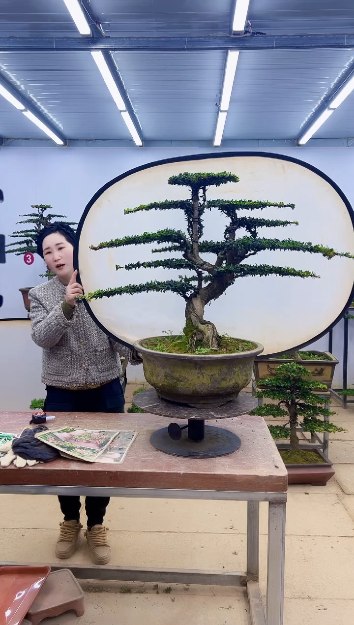 无花朵一物一拍，所见即所得