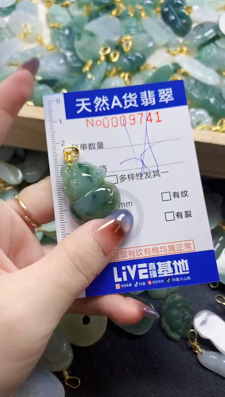 颈饰未镶嵌翡翠天然A货翡翠