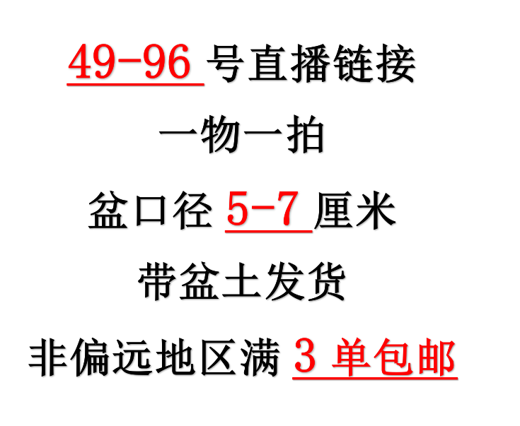 12月22日49-96一物一拍3-5cm精控多肉群生不包整