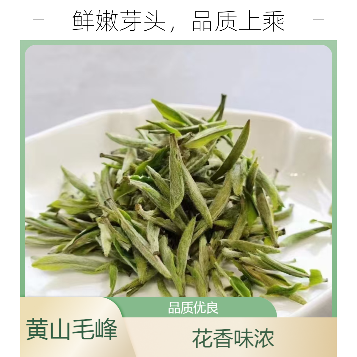 2025年黄山毛峰核心高山头采单芽兰花香