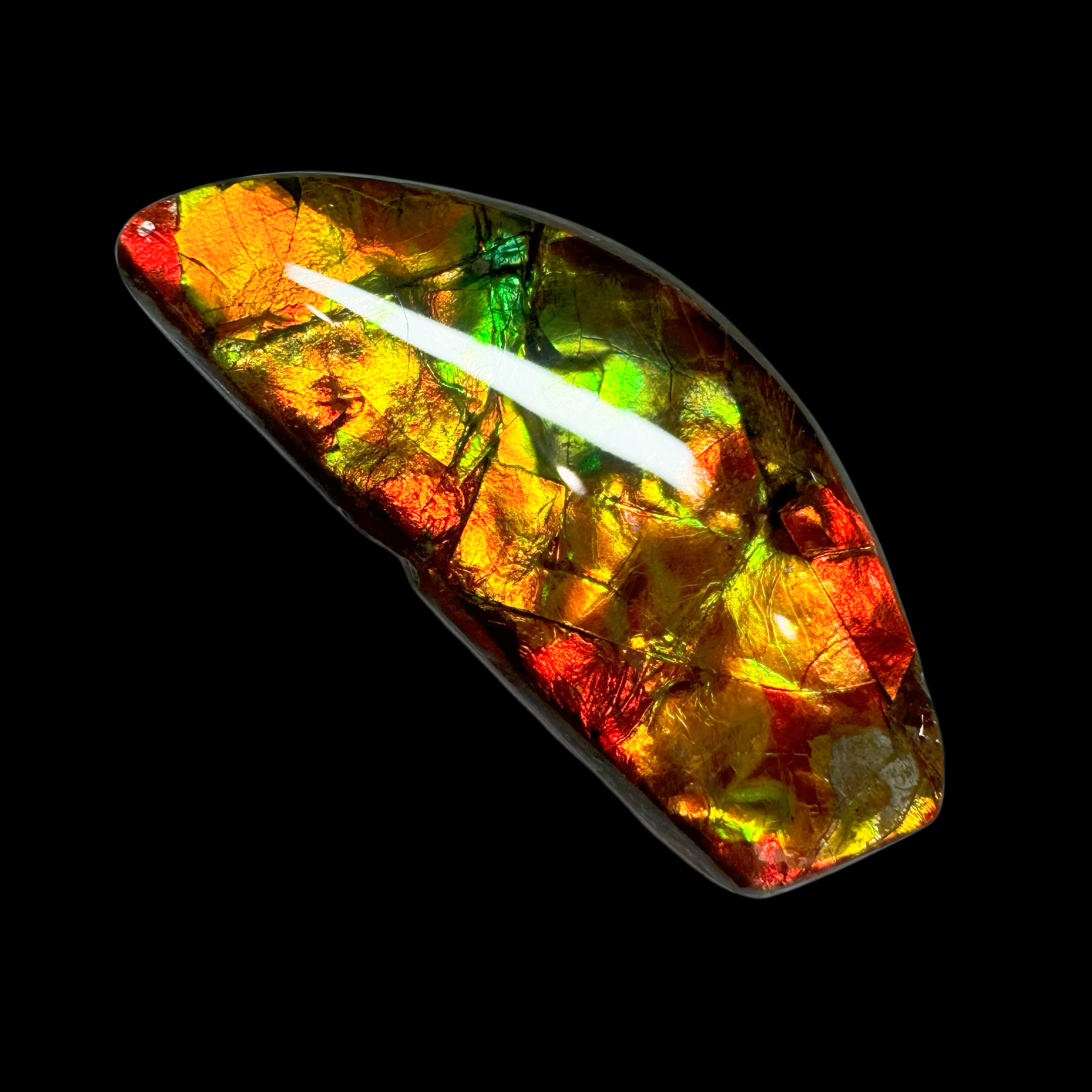 【古贝壳（原石）】38mm BC 产地：加拿大 Y7