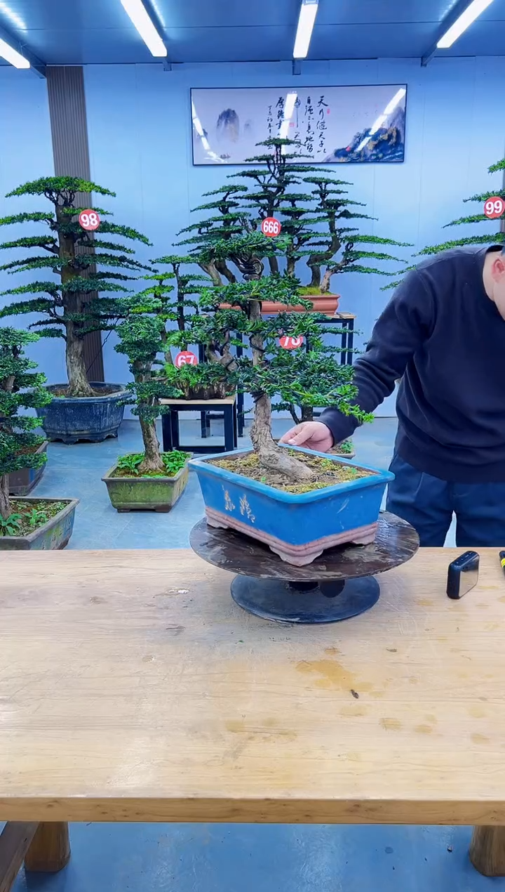 以实际为准00000000000