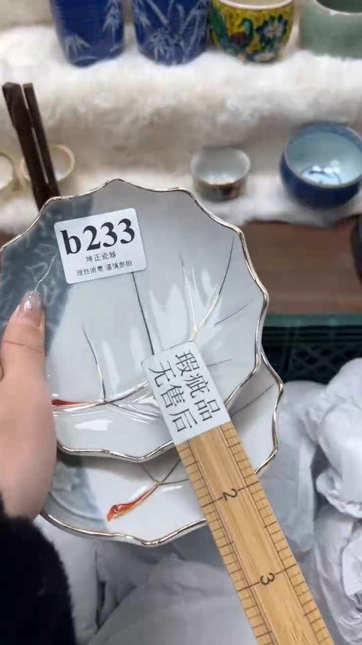 【闪购商品】瓷片          b233