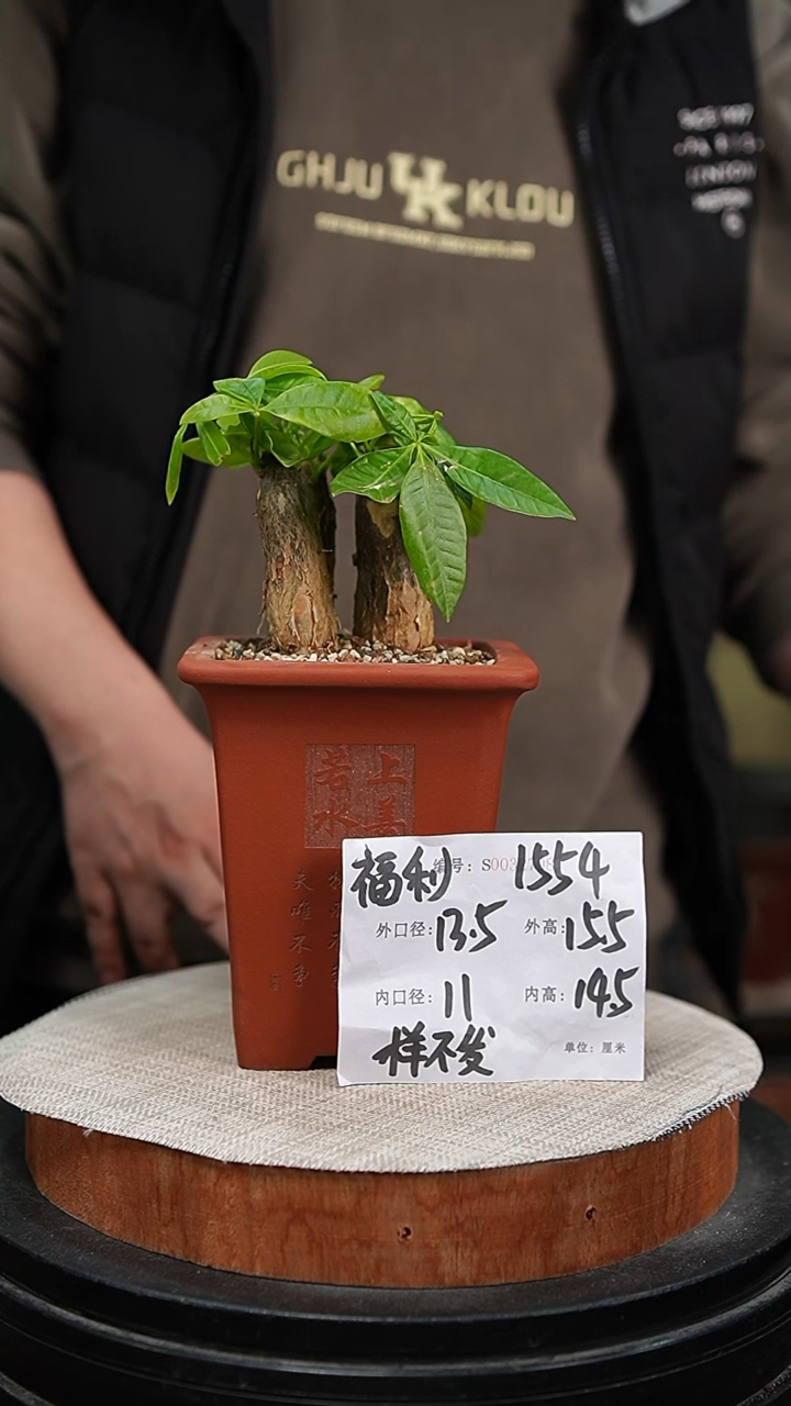 【闪购商品】紫砂花盆紫砂花盆1554